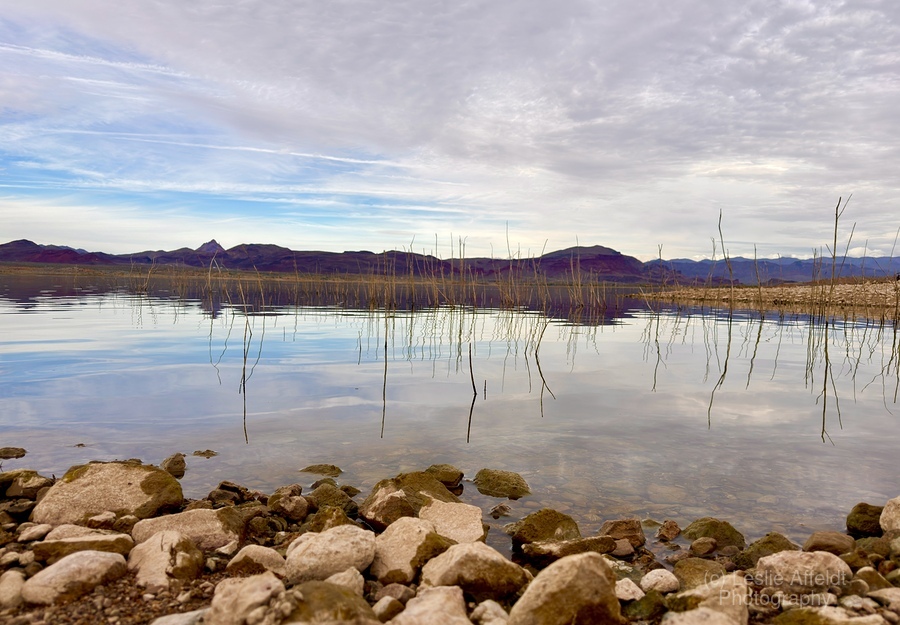 Alamo Lake Arizona -1  Print