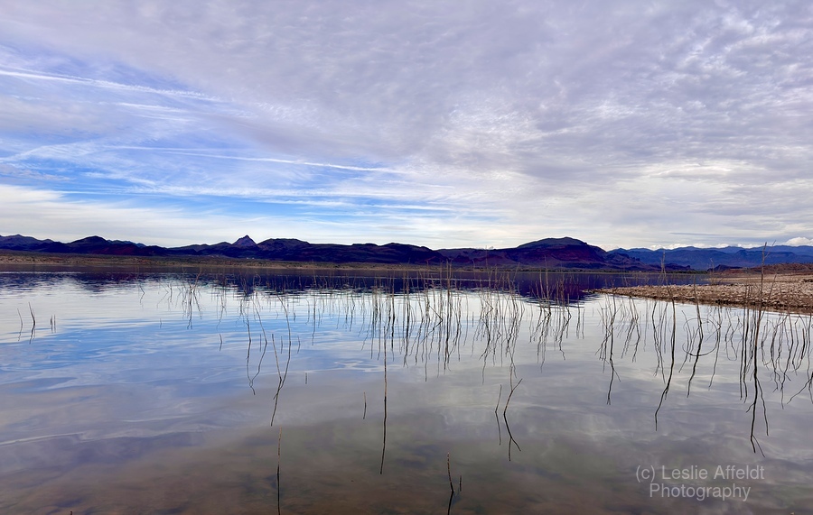 Alamo Lake Arizona -2  Print
