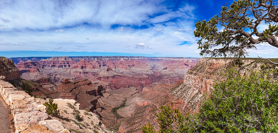 Grand Canyon from Grand Canyon Village  Print