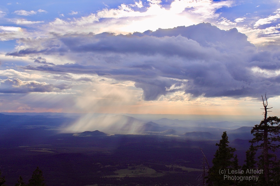 Monsoon Season -3  Print