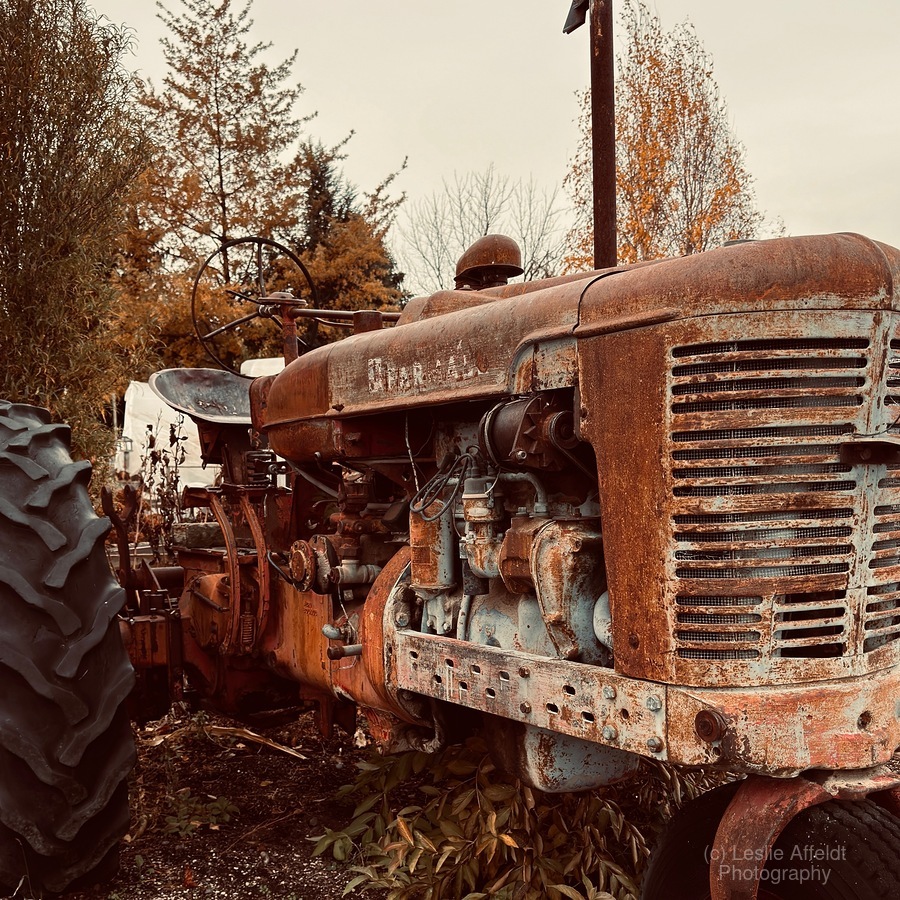 Vintage Farmall Tractor  Print