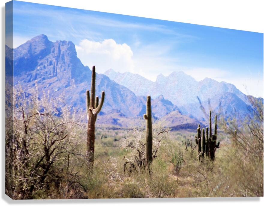 Blue Pastel Desert Canvas Print