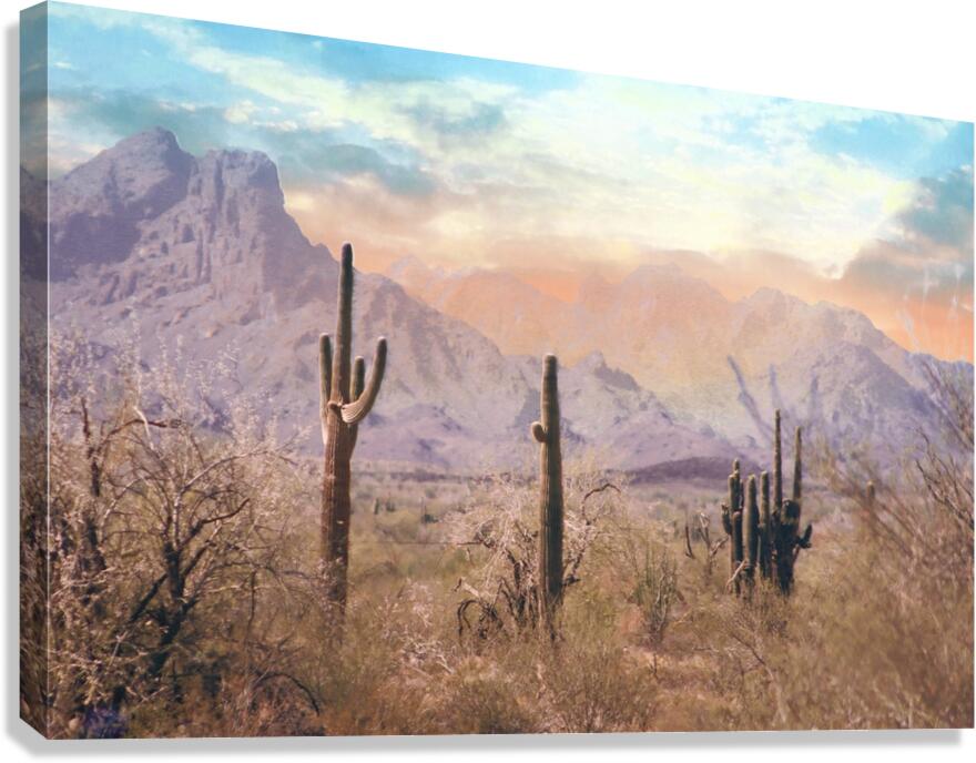Pastel Desert Canvas Print