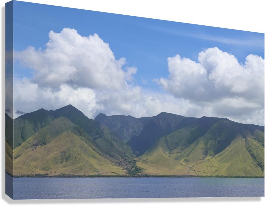 Maui Coast Canvas Print