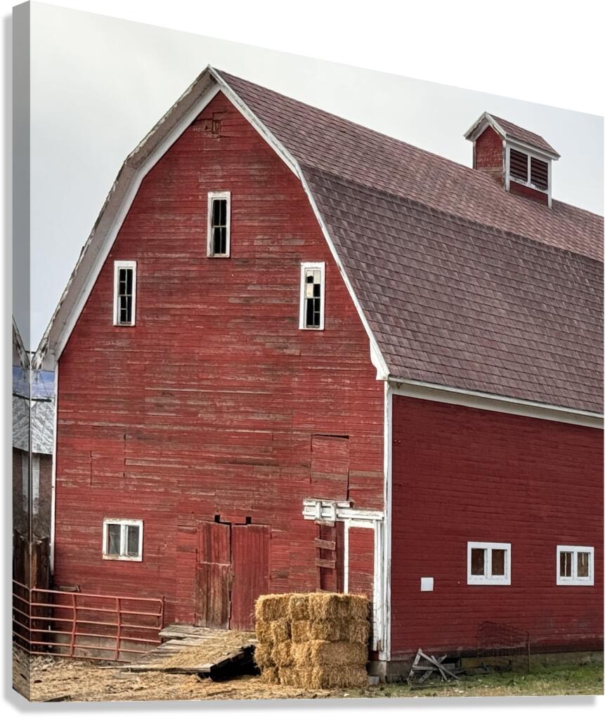 Americana Canvas Print