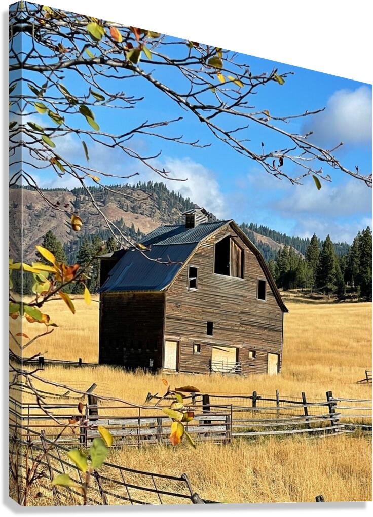 Dunford Barn 1 Canvas Print