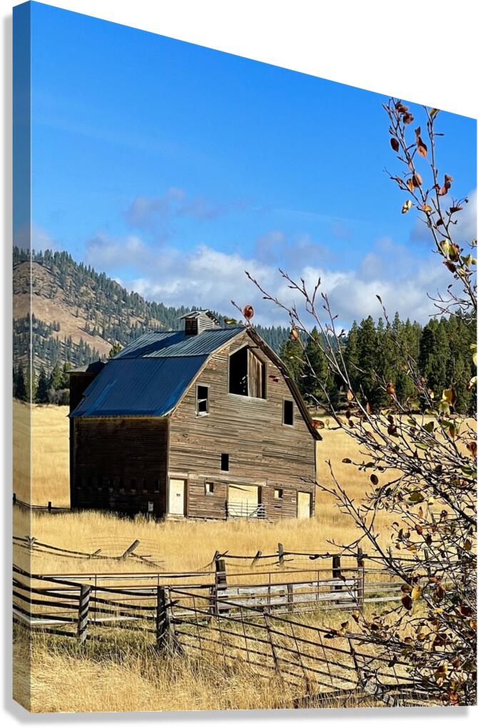 Dunford Barn 2 Canvas Print