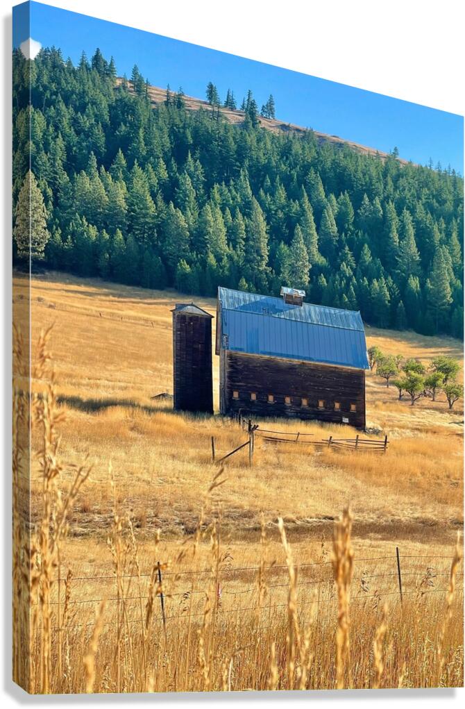 Dunford Barn 4 Canvas Print