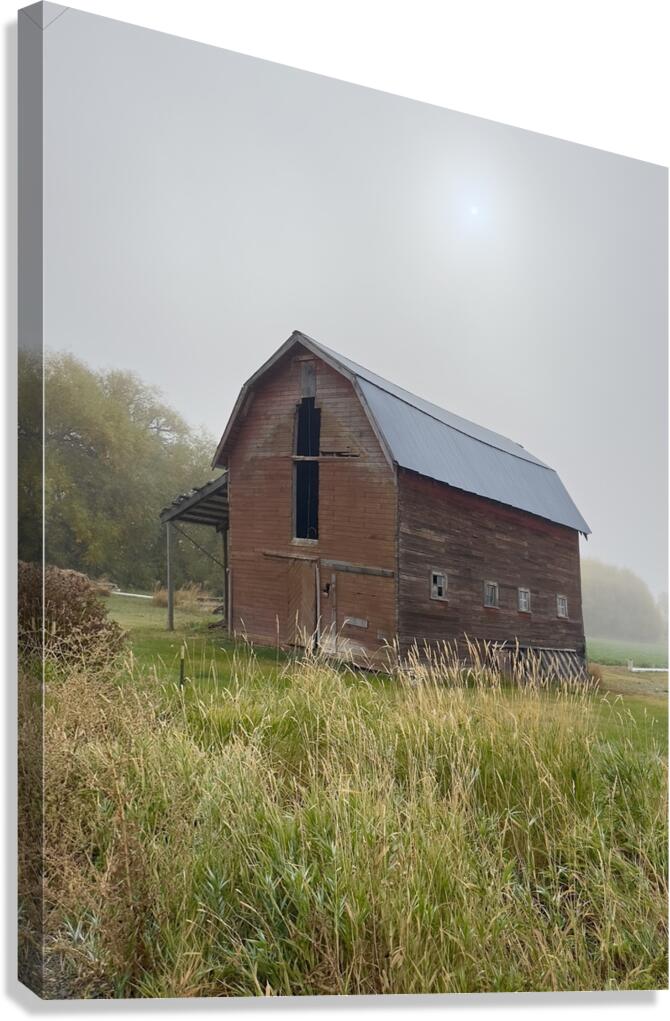 Barn in the mist 1 Canvas Print