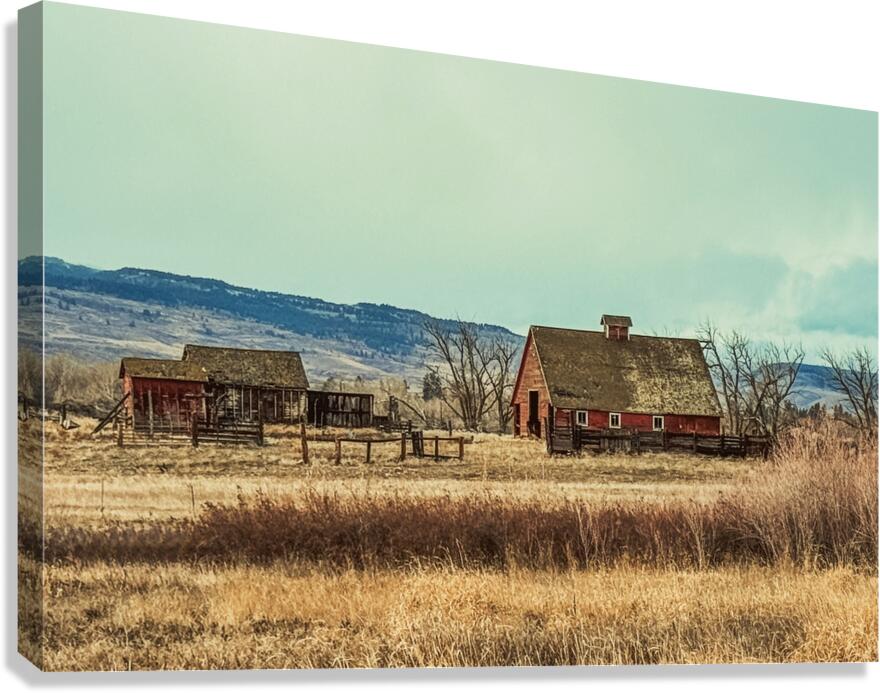 Rustic Farm Scene Canvas Print