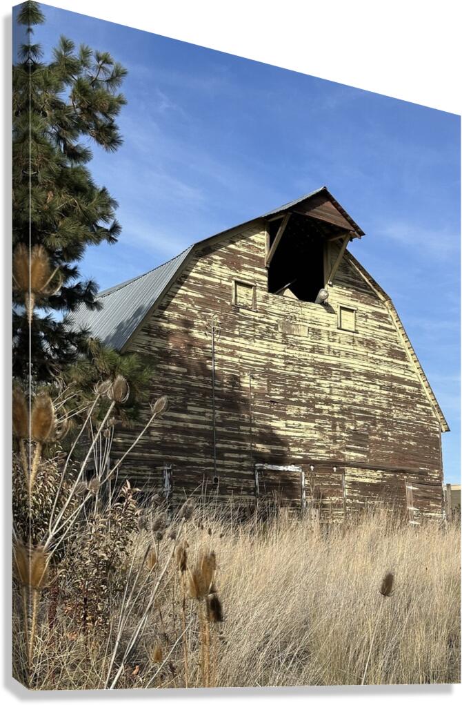Colfax Barn 1 Canvas Print