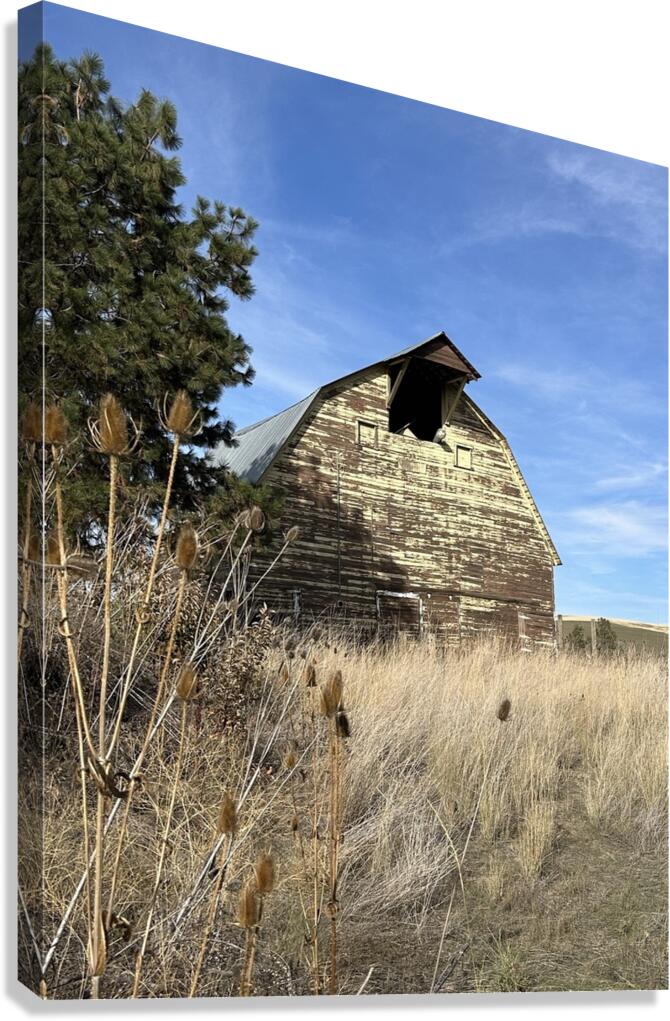 Colfax Barn 2 Canvas Print