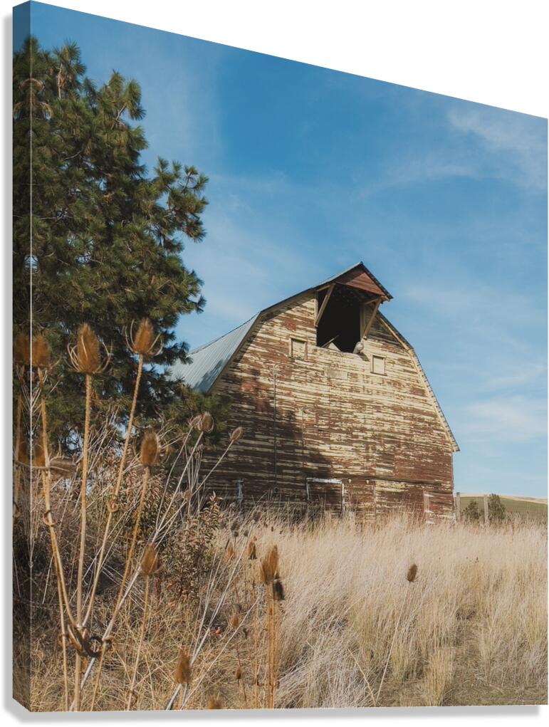 Colfax Barn 3 Canvas Print