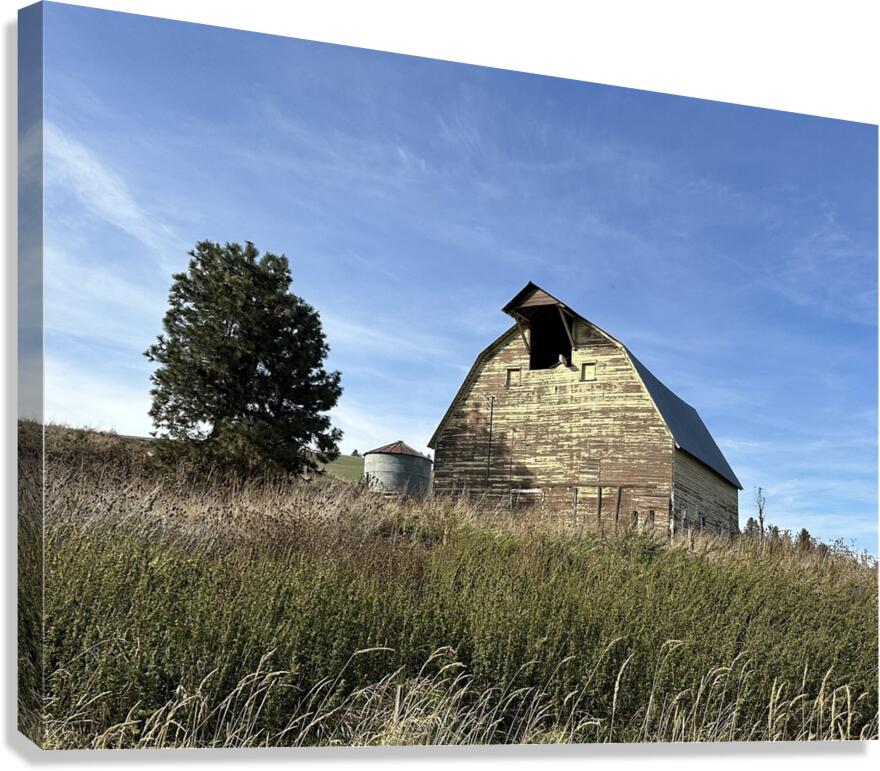 Colfax Barn 4 Canvas Print