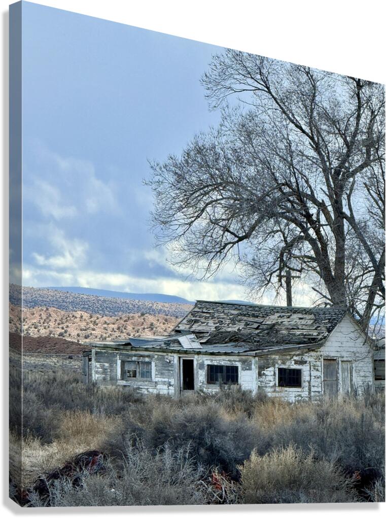 Farmhouse Decay - vertical Canvas Print