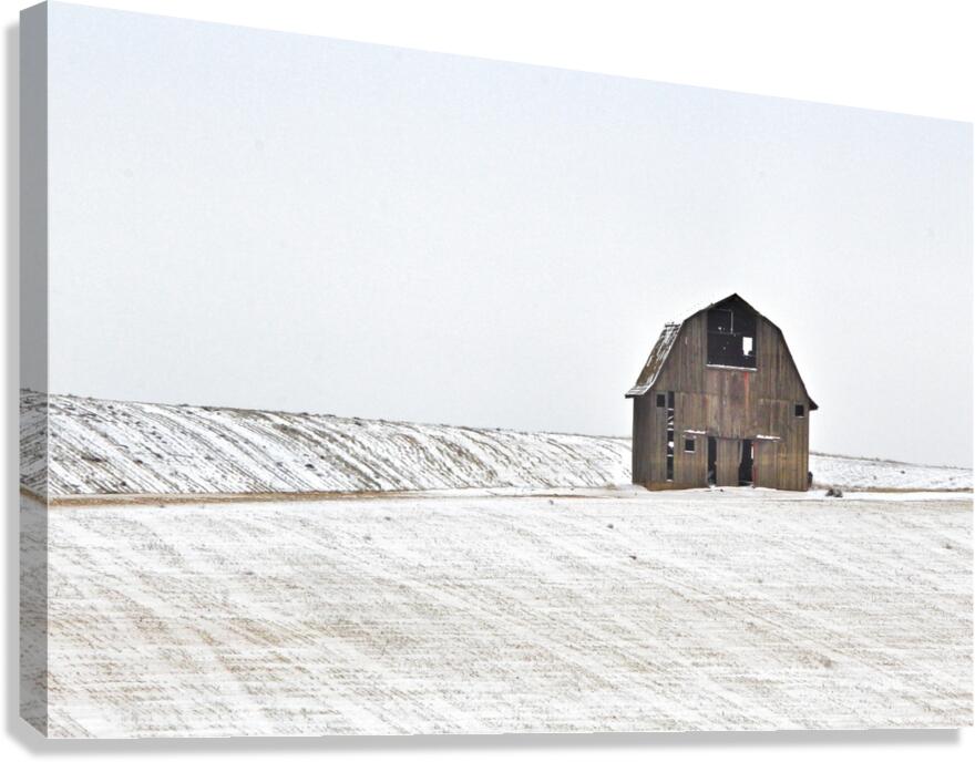 Standing Resolute 2 Canvas Print