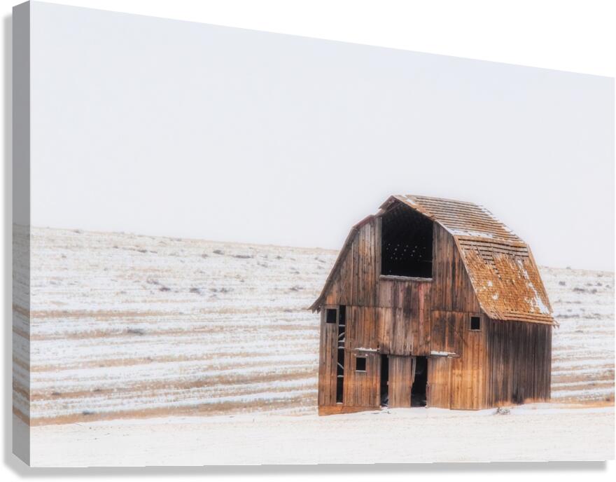 Still Standing Canvas Print