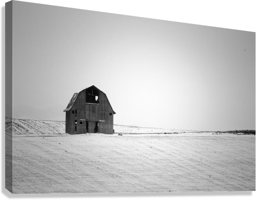 Standing Resolute Canvas Print