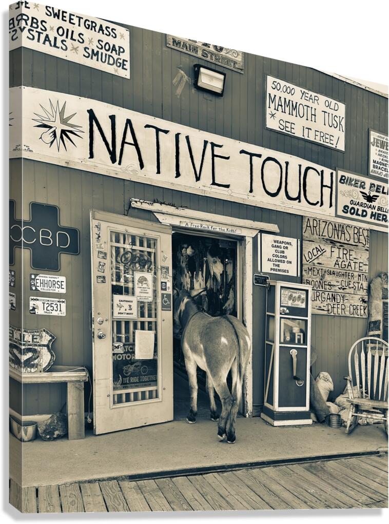 Oatman in a Nutshell Canvas Print