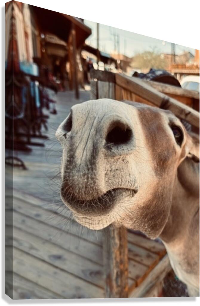 Give us a Kiss Canvas Print