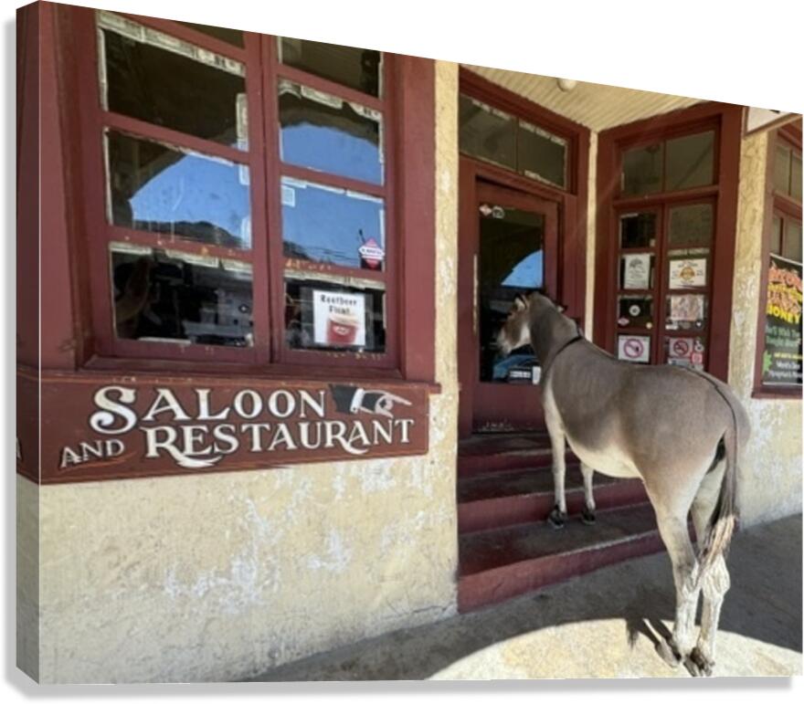 Lunchtime in Oatman Canvas Print