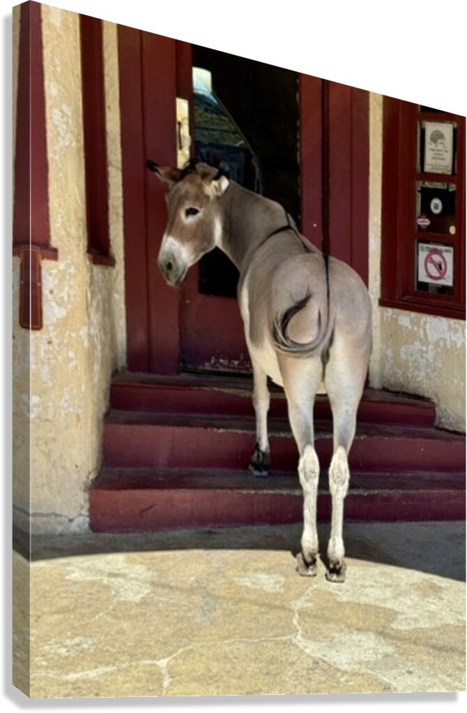 My eyes are up here  Canvas Print