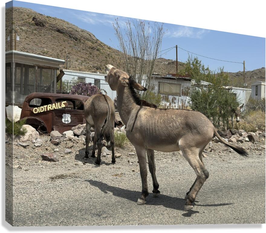 Street Party Canvas Print