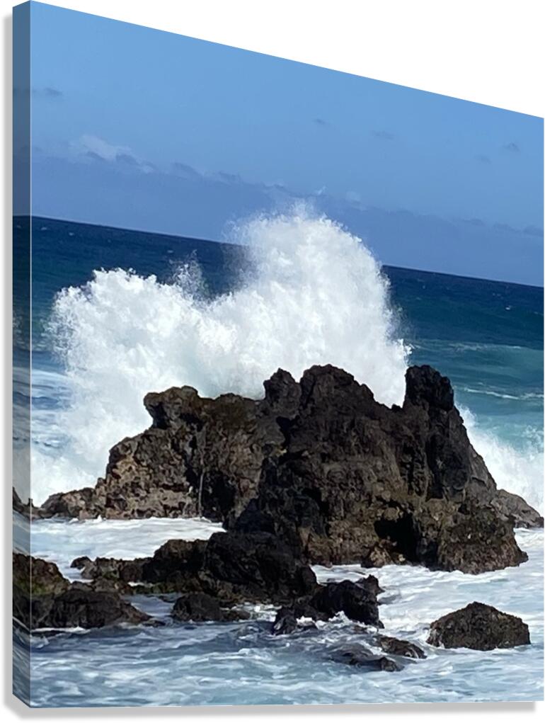 On the Rocks Canvas Print