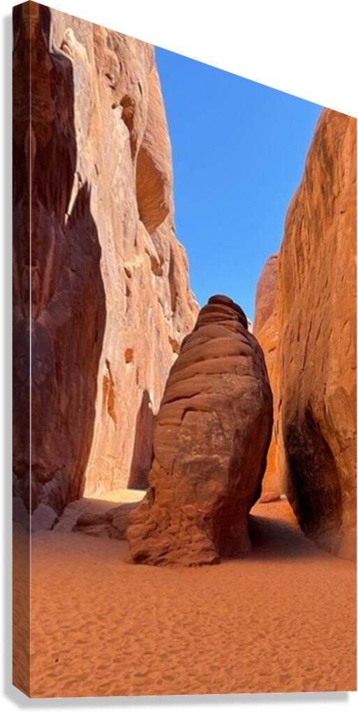 26EAC002 C0B5 4D42 B3FA A159C7E7639F 4 5005 c.jpe Canvas Print