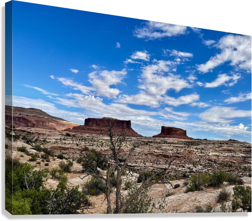 Monitor & Merrimack Rock - 2 Canvas Print
