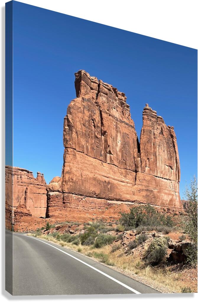 The Organ Canvas Print