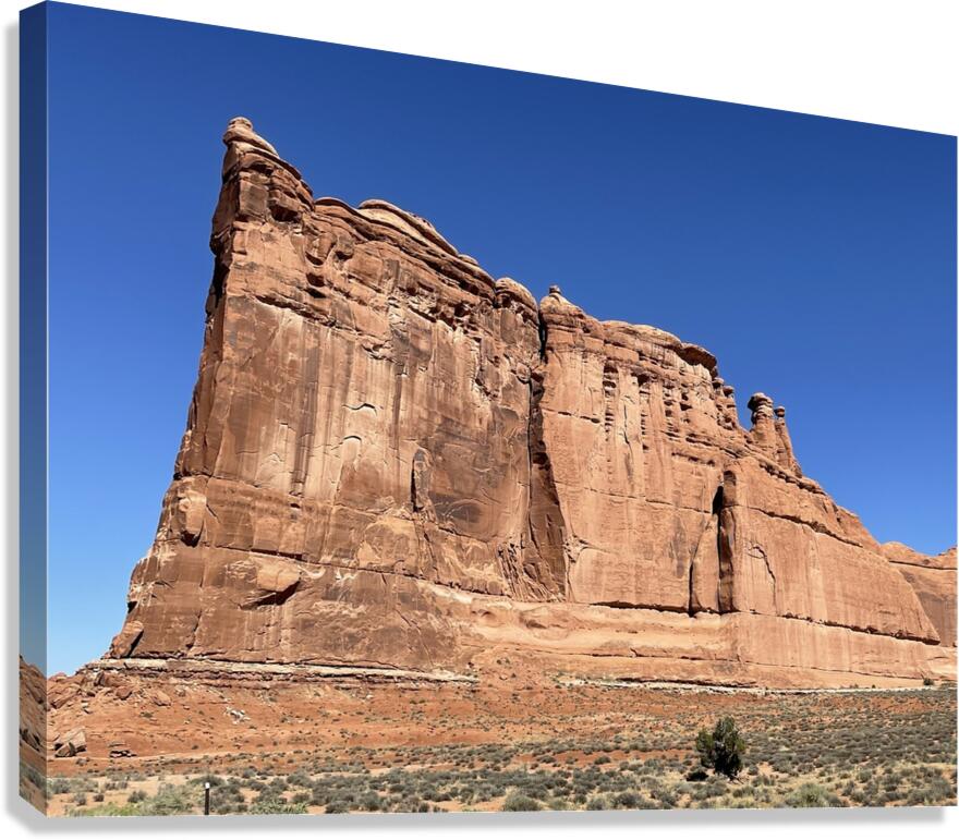 Tower of Babel Canvas Print