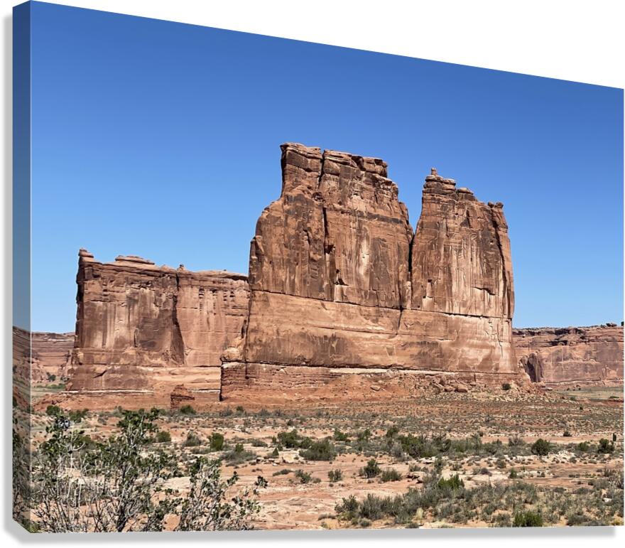 The Courthouse Towers Canvas Print