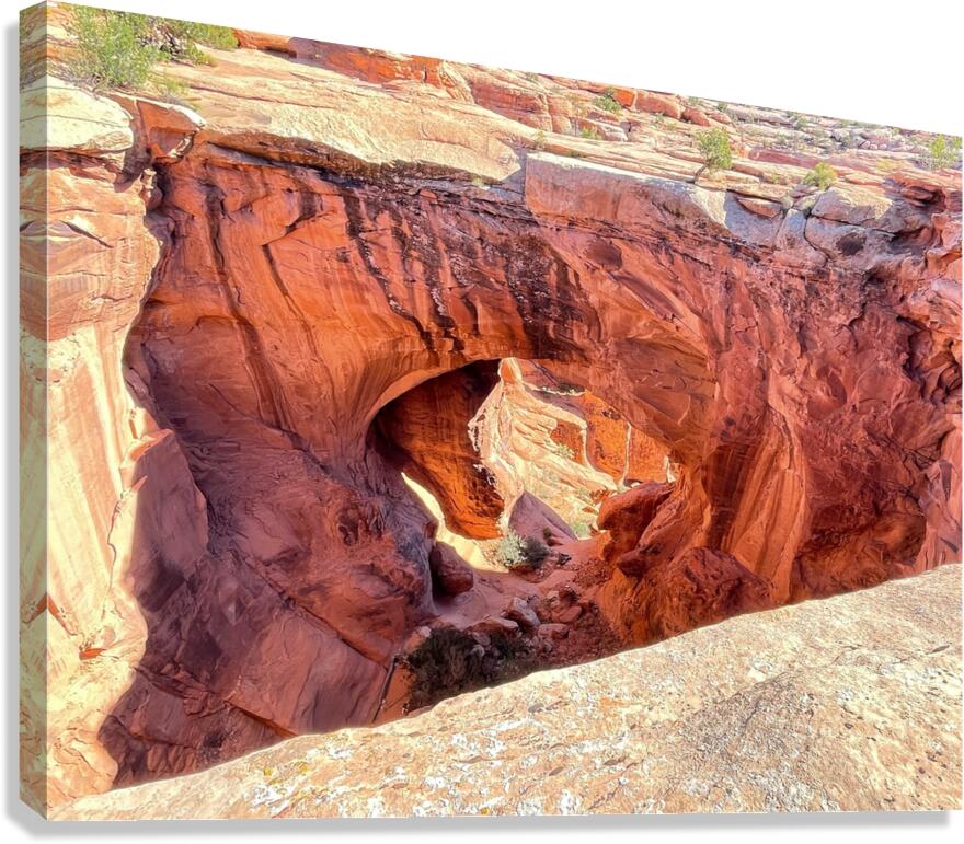 Natural Bridges - 1 Canvas Print