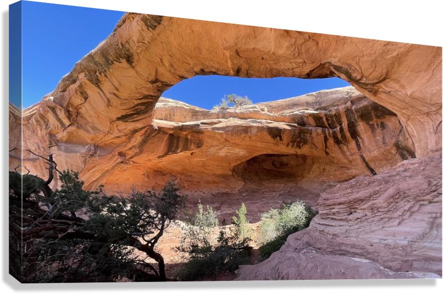 Gemini Twins Canvas Print