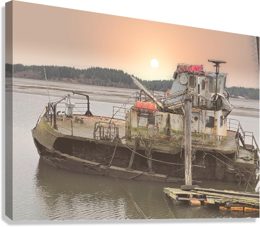 Faded Dreams Canvas Print