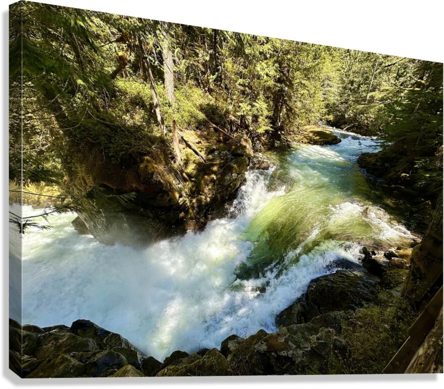 IMG 2459 Canvas Print