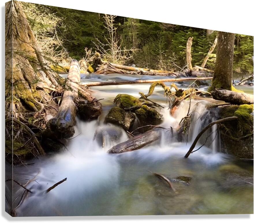 IMG 2445 Canvas Print