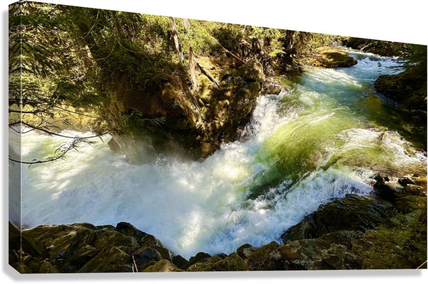 IMG 2460 Canvas Print