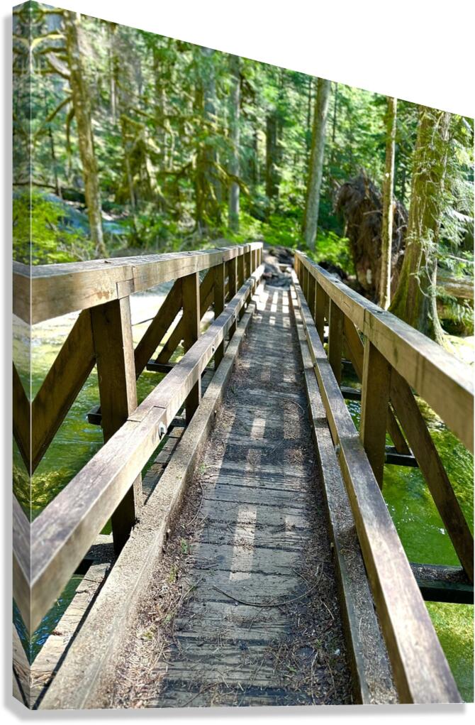 Forest Bridge Canvas Print