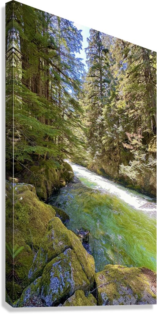 Beautiful…. Canvas Print