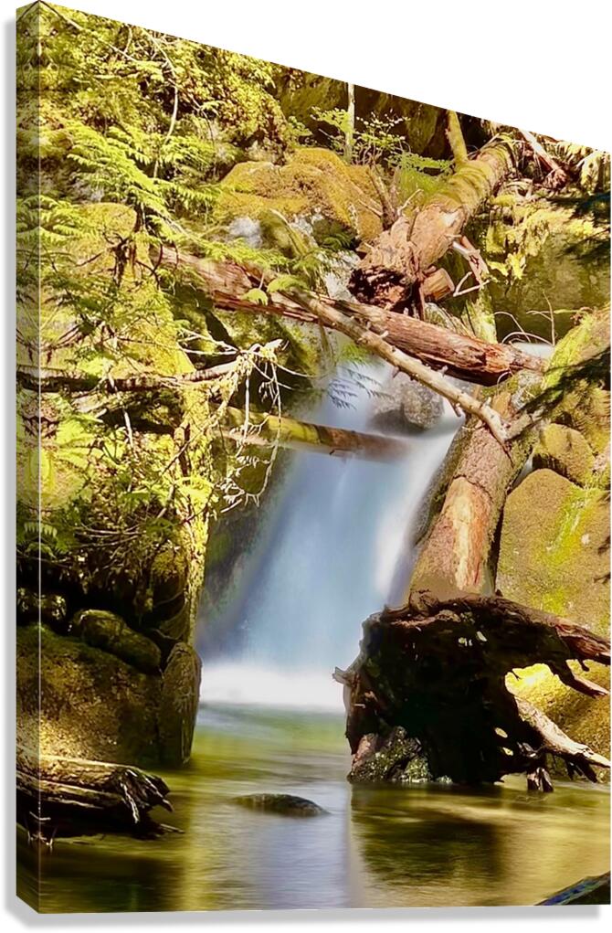 IMG 2510 Canvas Print