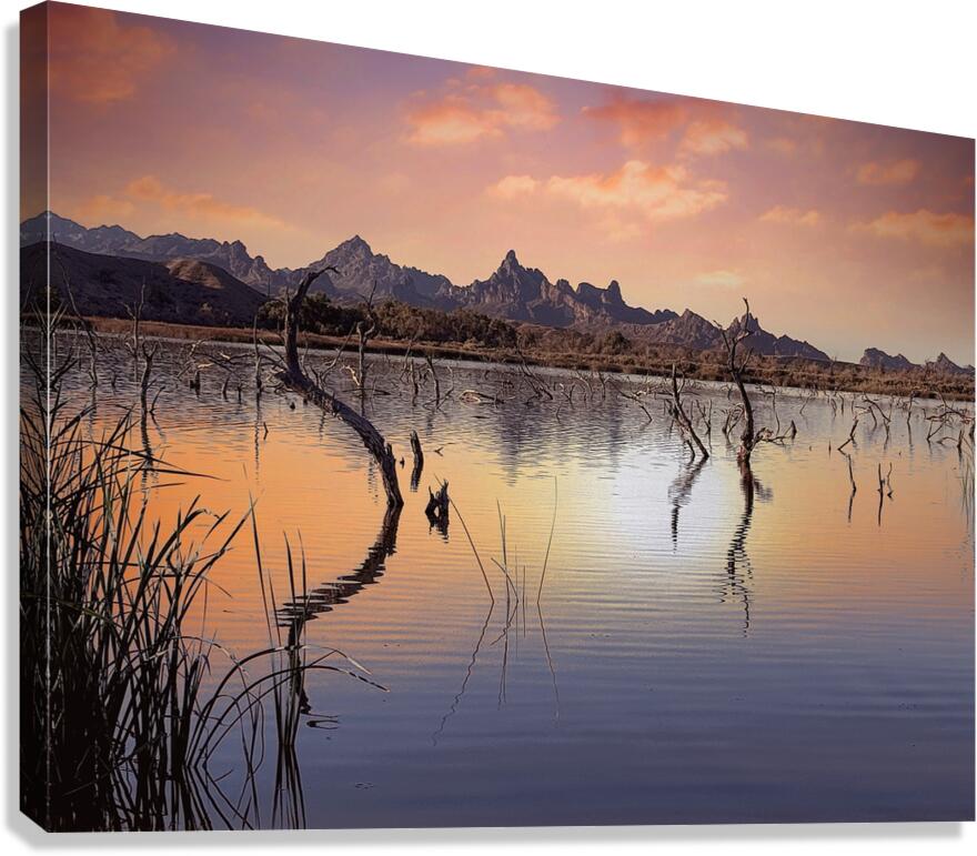 Catfish Paradise Canvas Print
