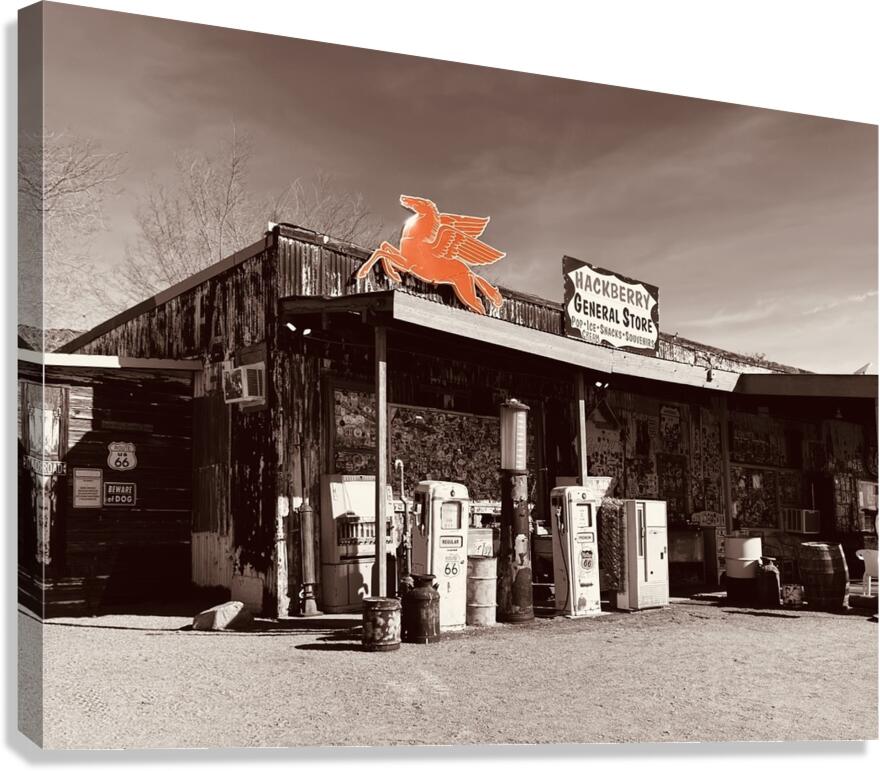 Hackberry Canvas Print