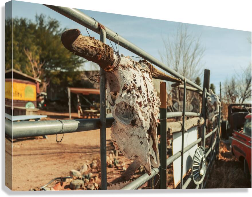 Weathered by Time Canvas Print