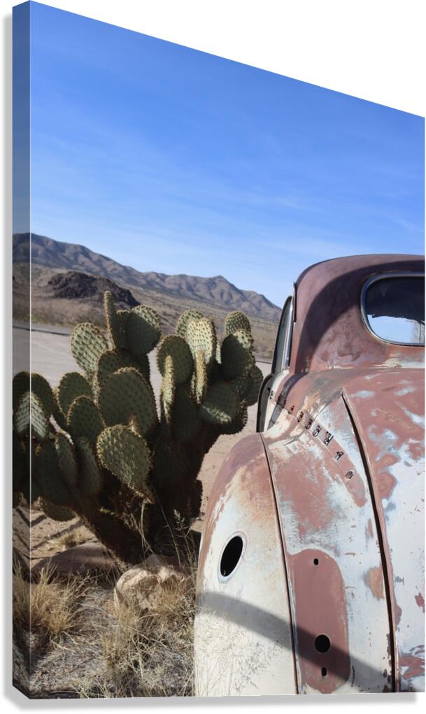Old Cars and Cactus Canvas Print