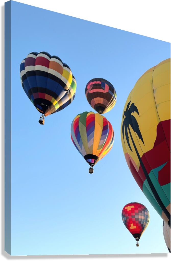 Bullhead City 3 Canvas Print