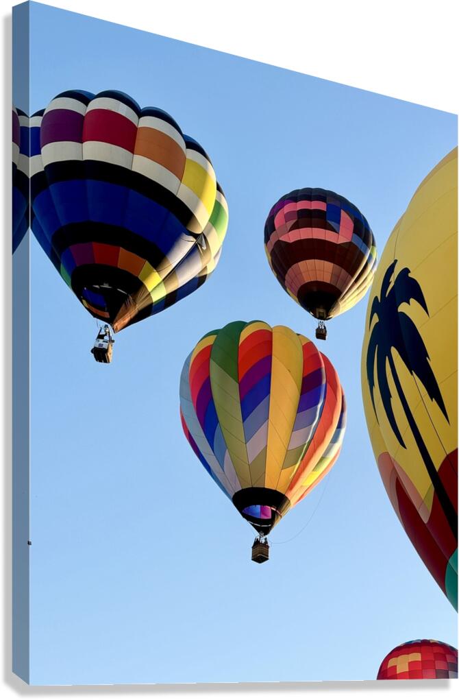Bullhead City 2 Canvas Print
