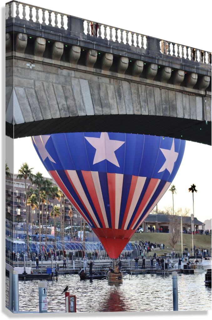 Splash and Dash Canvas Print