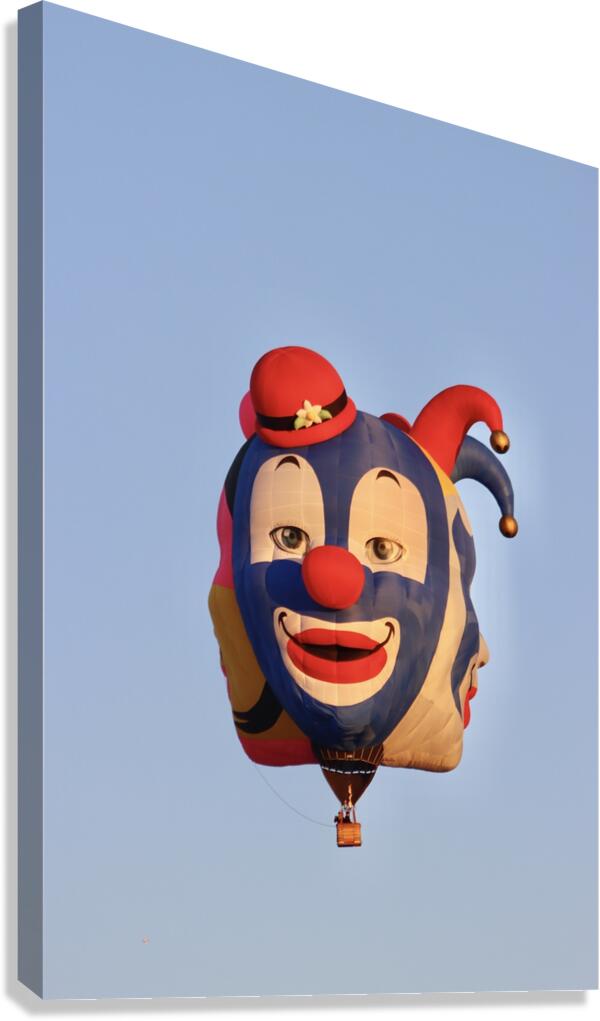 The Jester Canvas Print